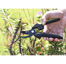 Sécateur coupant une branche épineuse