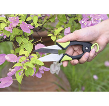 Sécateur coupant une plante