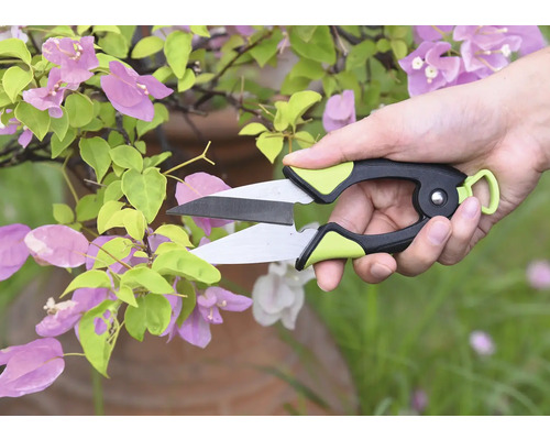 Sécateur coupant une plante