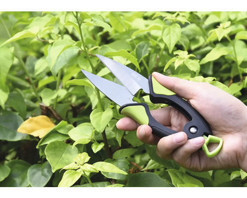 Main avec sécateur devant des plantes vertes