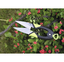 Sécateur pour tailler les plantes