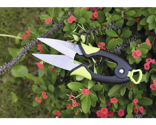 Sécateur pour tailler les plantes