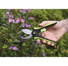 Sécateur en utilisation sur une plante