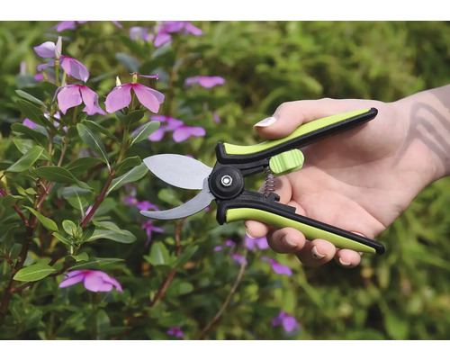 Sécateur en utilisation sur une plante