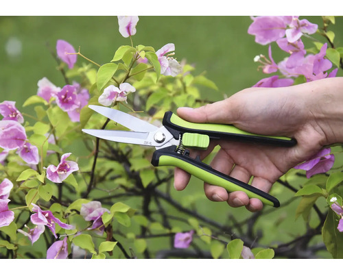 Sécateur dans une main devant une plante fleurie