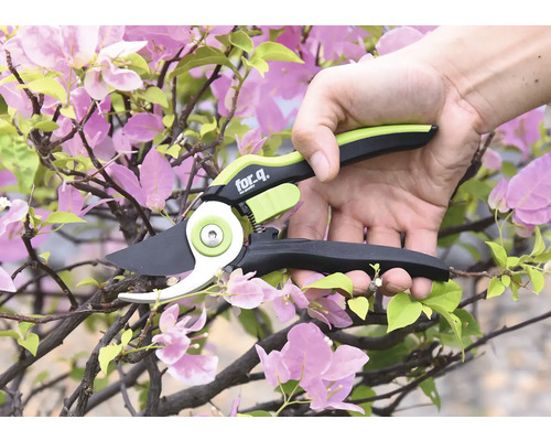 Une personne utilise un sécateur de branches for_q pour couper une branche fleurie.