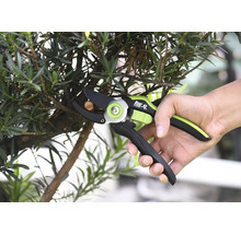 Une personne coupe une branche avec un sécateur de la marque For Q.