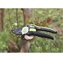 Sécateur pour tailler les branches