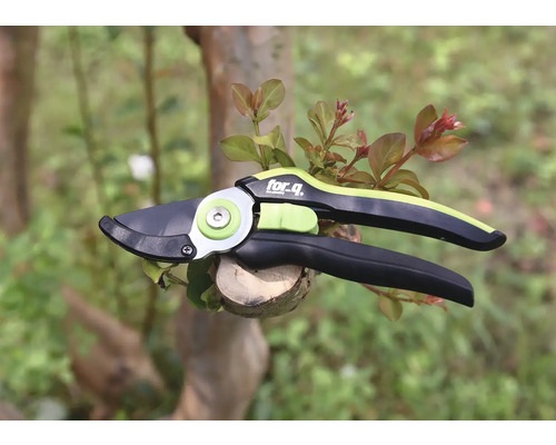 Sécateur pour tailler les branches