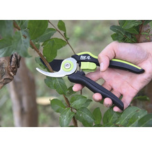 Sécateur en utilisation sur un arbre