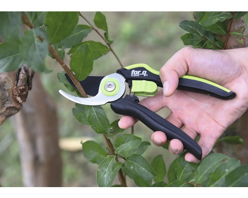 Sécateur en utilisation sur un arbre