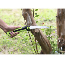 Scie à branches coupant une branche