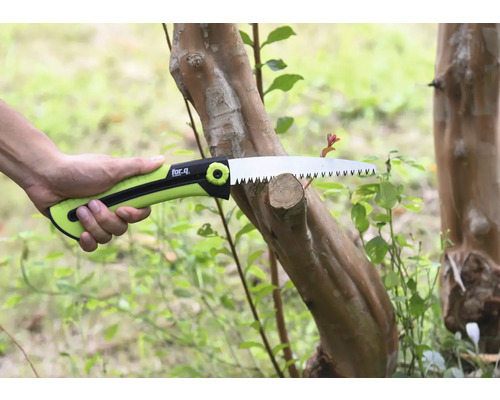 Scie à branches coupant une branche