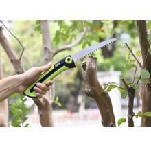 Une scie à branches coupe une branche.