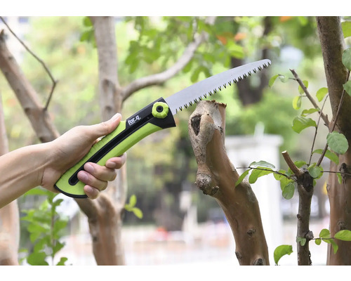 Une scie à branches coupe une branche.