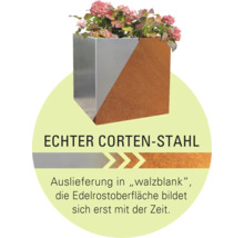 Blumenkübel aus Cortenstahl mit Pflanzen