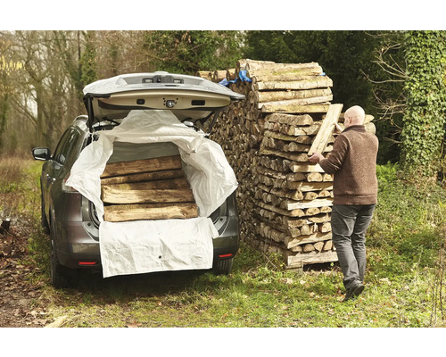 Homme chargeant une voiture avec du bois de chauffage à côté d'une pile de bois