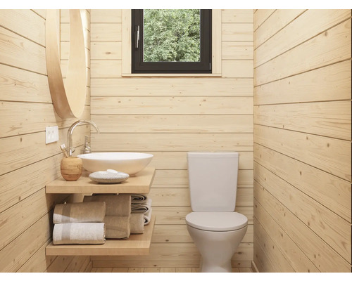 Salle de bains lumineuse avec lambris en bois, toilettes et lavabo avec miroir