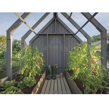 Serre avec plants de tomates, laitue et carottes en parterres surélevés