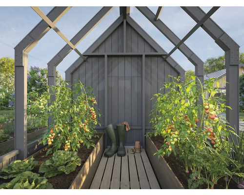 Serre avec plants de tomates, laitue et carottes en parterres surélevés