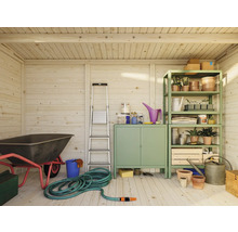 Intérieur d'abri de jardin avec brouette, échelle, armoire, étagère et outils de jardinage