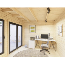 Bureau dans une cabane de jardin avec bureau, chaise de bureau et étagères