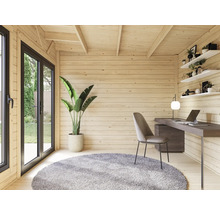 Maison de jardin en bois avec bureau, chaise, tapis et plante pour l'extérieur