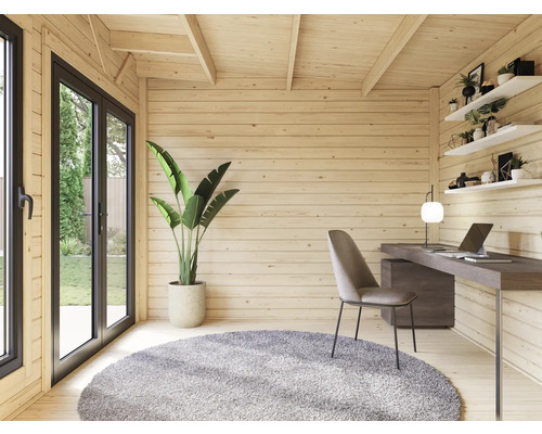 Maison de jardin en bois avec bureau, chaise, tapis et plante pour l'extérieur