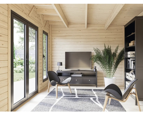 Intérieur clair d'une maison en bois avec des meubles, une télévision, une plante et des fenêtres