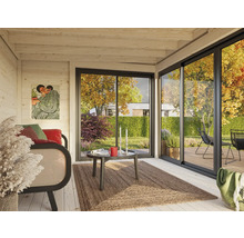 Intérieur d'une cabane de jardin avec un coin salon, un tapis et une vue sur le jardin à travers une porte coulissante.