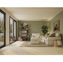 Salon lumineux avec canapé, fauteuil, étagère et plante d'intérieur