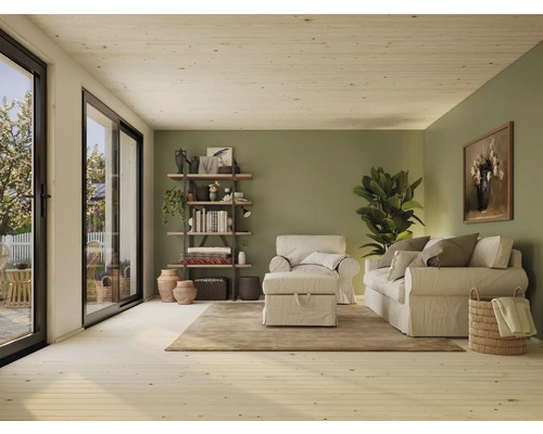 Salon lumineux avec canapé, fauteuil, étagère et plante d'intérieur