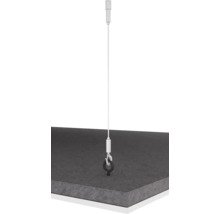 Suspension de câble de plafond avec crochet pour fixation au plafond