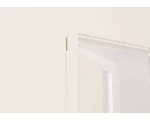 Detailansicht einer Türzarge mit Türblatt