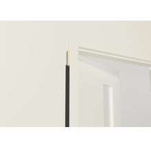 Nahaufnahme eines Türrahmens mit Dichtungsprofil