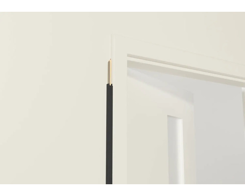 Nahaufnahme eines Türrahmens mit Dichtungsprofil