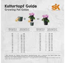 Guide des pots de culture avec des informations sur les tailles de pots et les jardinières