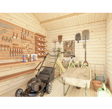 Abri de jardin rangé avec tondeuse à gazon, brouette et outils