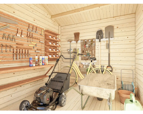 Abri de jardin rangé avec tondeuse à gazon, brouette et outils