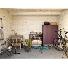 Abri de jardin lumineux avec brouette, outils de jardin, étagère et vélo