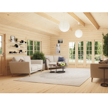 Salon dans une maison en bois avec canapés, tapis et fenêtres