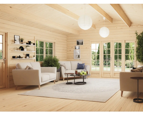 Salon dans une maison en bois avec canapés, tapis et fenêtres