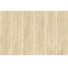 Carrelage aspect bois