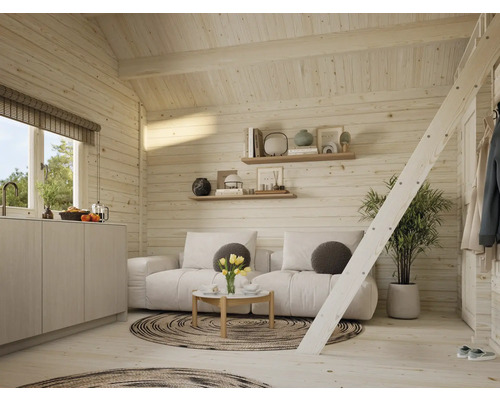 Intérieur clair d'une maison en bois avec coin salon, kitchenette et échelle menant à la mezzanine