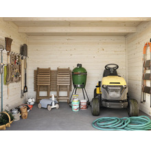 Abri de jardin en bois avec outils de jardin, tracteur de pelouse et barbecue