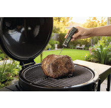 Rôti sur le gril avec thermomètre pour le contrôle de la température