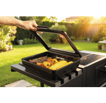 Grillbox avec steak, poivrons et épis de maïs sur barbecue dans le jardin