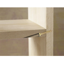 Vue détaillée d'une étagère fixée à la paroi latérale avec une vis