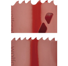 Vue détaillée d'une scie cloche avec un bord dentelé et des découpes.