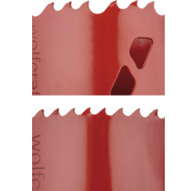 Détail d'une scie cloche avec des dents et des évidements